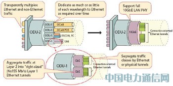����FPGA���F(xi��n)100G����;W(w��ng)